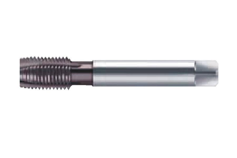 Dũa cắt ren M12-1,75 SC20